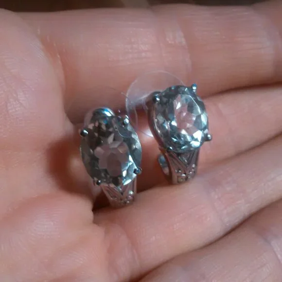 Montezuma Prasiolite Stainless Steel J-Hoop Earrings - Picture 8 of 8